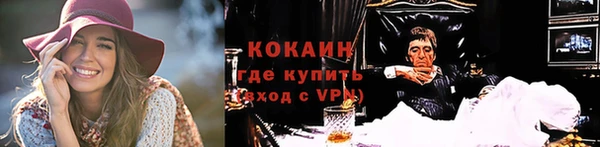 индика Липки