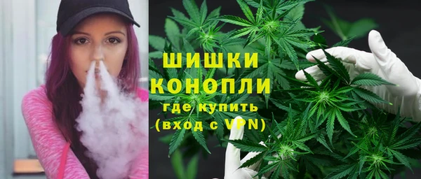 индика Липки